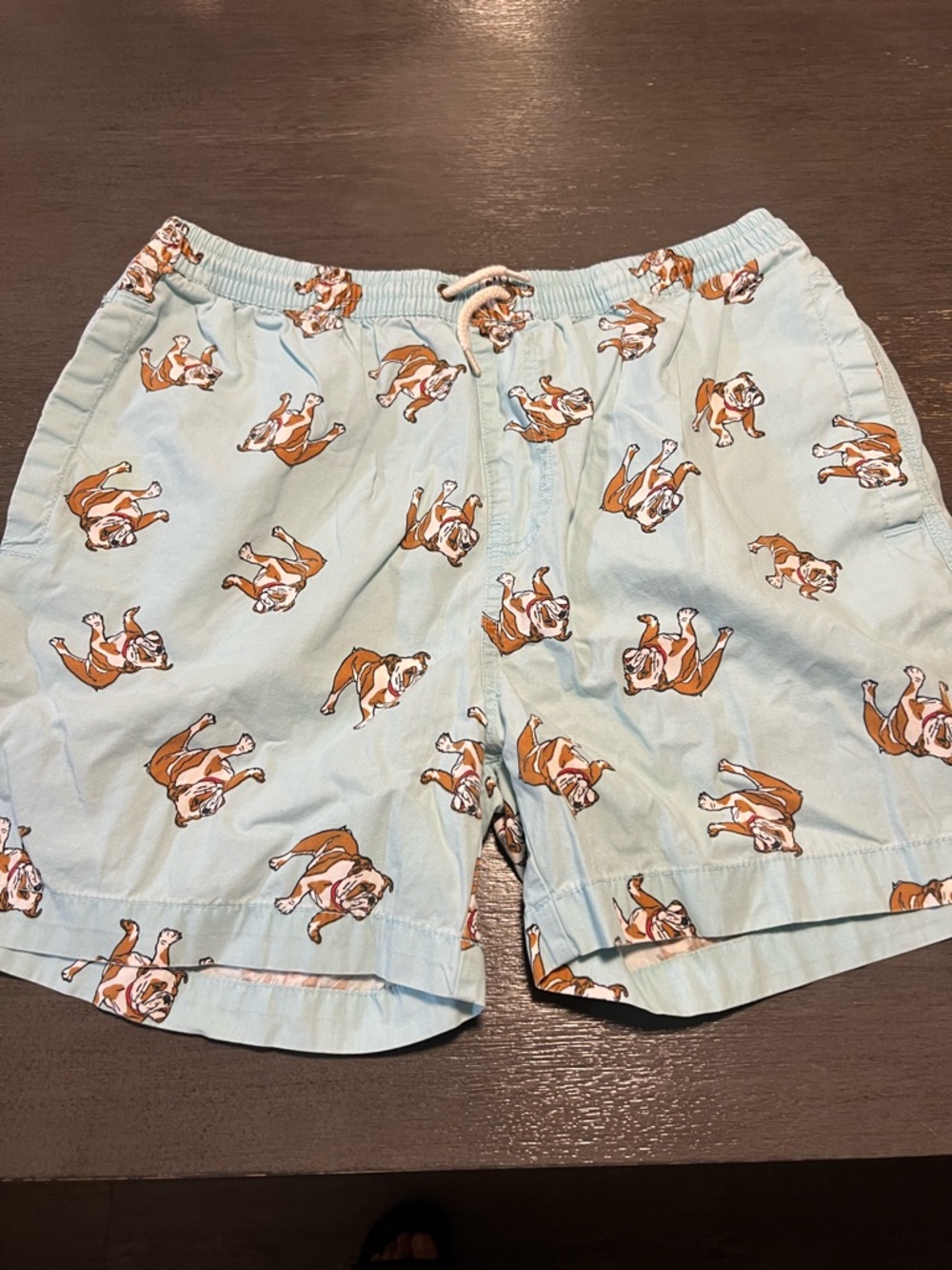 Men's Light Blue Bulldog Print Swim Shorts